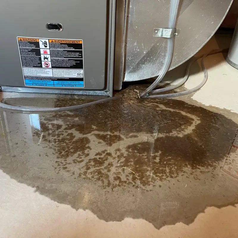 Appliance Leak Cleanup in Cadiz, KY