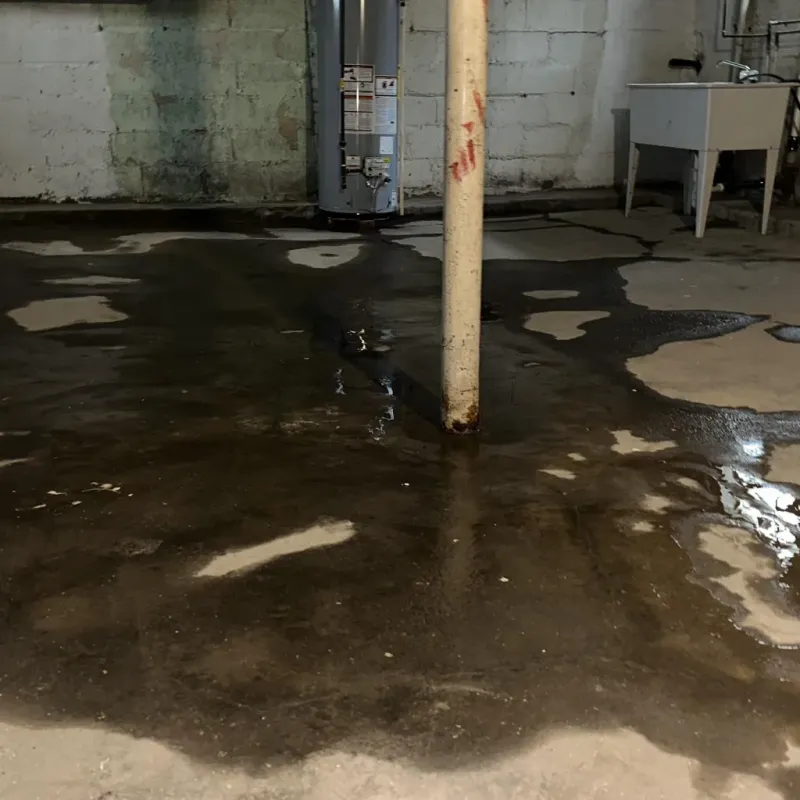 Emergency Water Extraction And Removal in Cadiz, KY